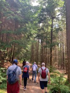 People walking together in the woods