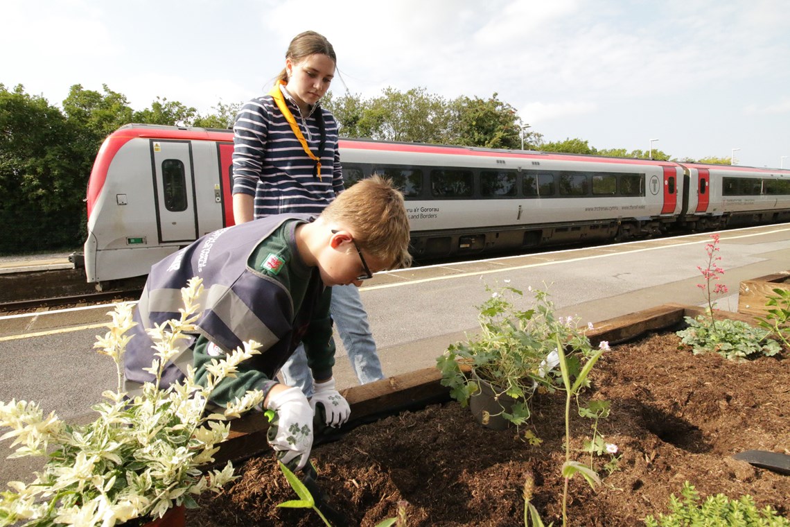 Scouts group gardening at the station in Kidwelly with the train in the background