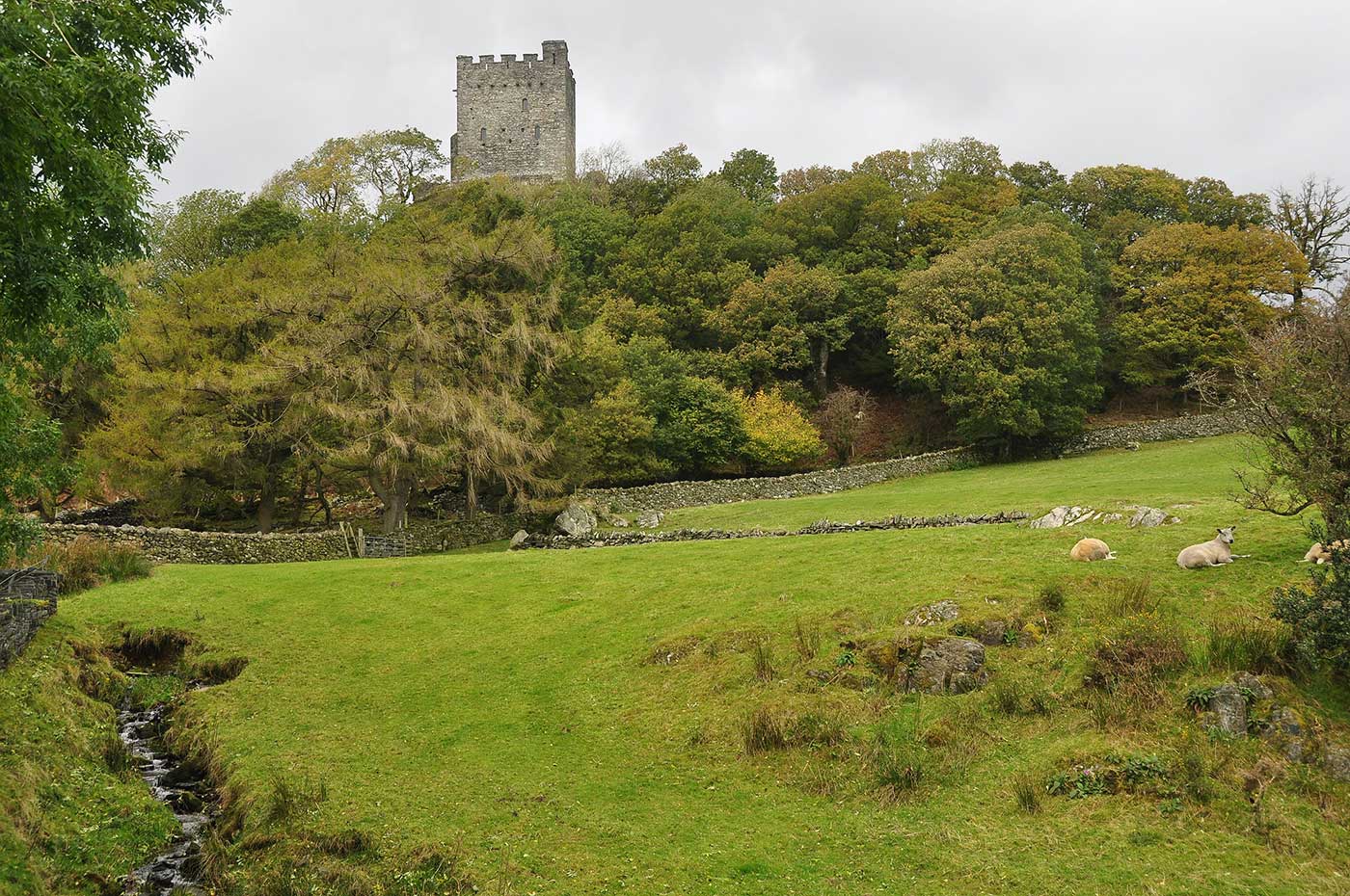 Dolwyddelan Castle