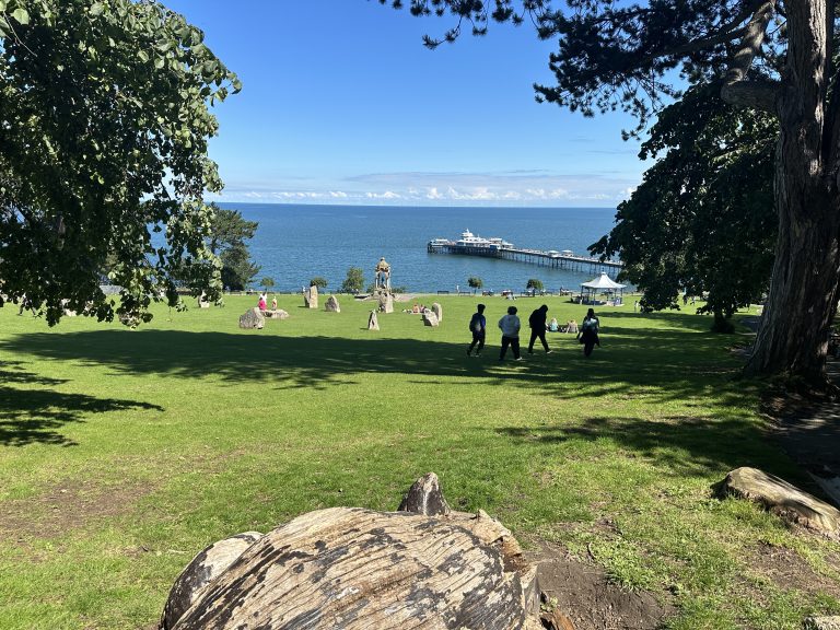 People enjoying a sunny day in a green park with trees, overlooking a serene blue sea with a pier extending into the water.